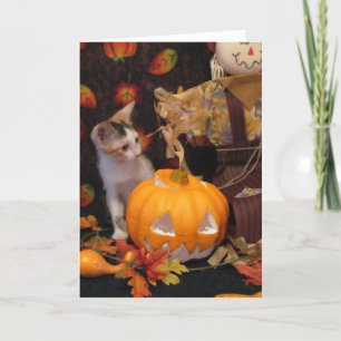 Autumn 's Halloween - Cat / Kitten Halloween Card
