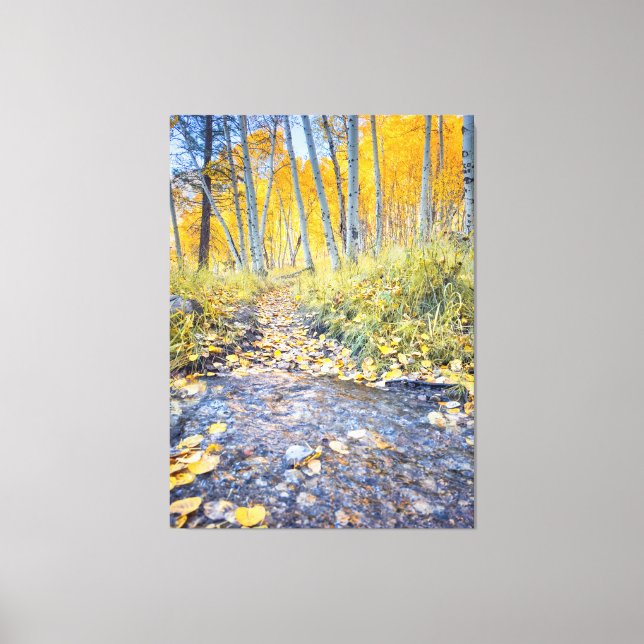 Autumn Scene Canvas Print (Front)