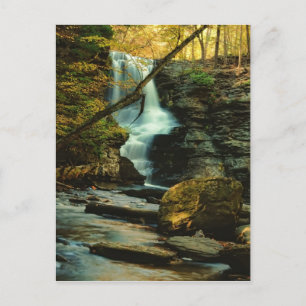 Autumn Scene of Fulmer Falls Postcard
