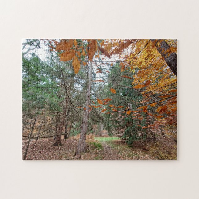 Autumn season jigsaw puzzle (Horizontal)