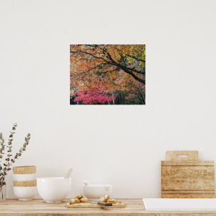 Autumn Season Leaf Colours Botancial Poster
