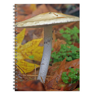 “Autumn Sentinel: The Wild Stands Alone” Notebook
