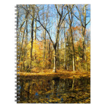 Autumn Serenity: Tranquil Reflections by the Pond