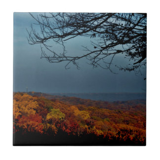 Autumn Shade Tile