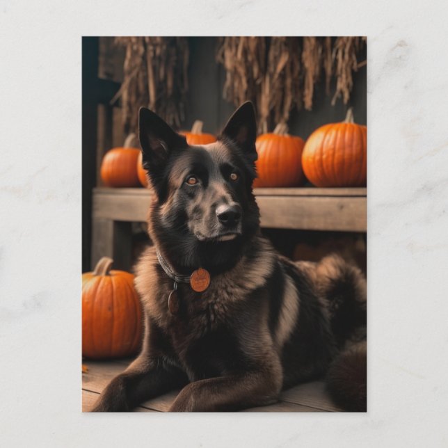 Autumn Shepherd Postcard (Front)