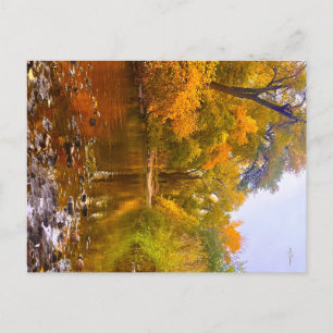 Autumn Shore Postcard