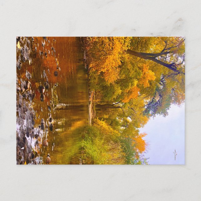 Autumn Shore Postcard (Front)