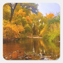 Autumn Shore