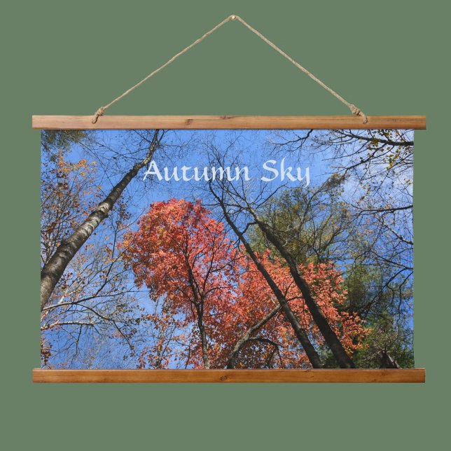 Autumn Sky Colourful Fall Trees Photographic Hanging Tapestry (Creator Uploaded)