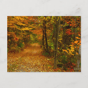 Autumn Splendour in New England Postcard