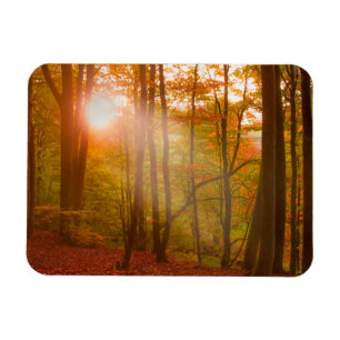 Autumn Splendour Magnet