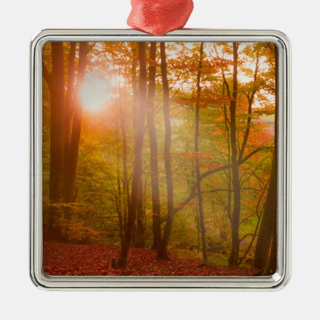 Autumn Splendour Metal Tree Decoration (Front)