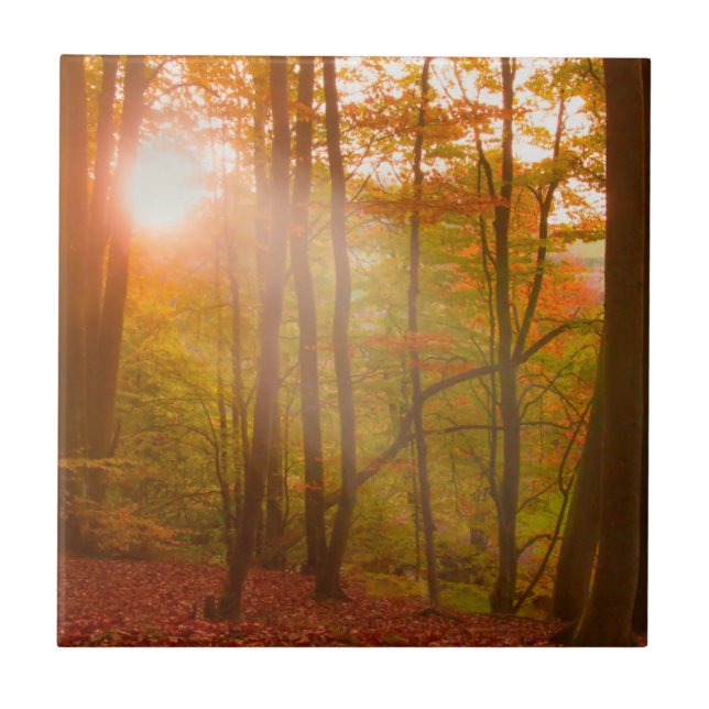 Autumn Splendour Tile (Front)