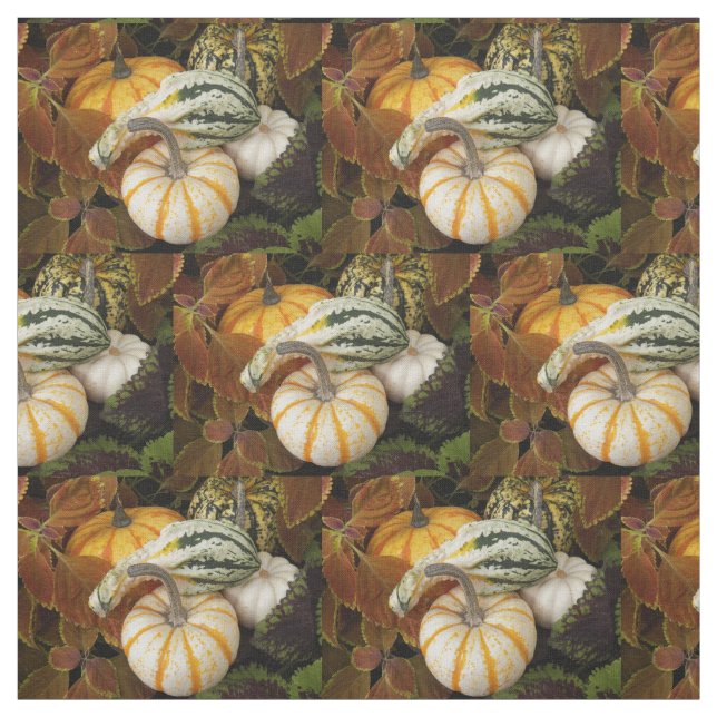 Autumn Squash Still Life Photo Pattern Fabric (Swatch)