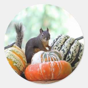 Autumn Squirrel Classic Round Sticker
