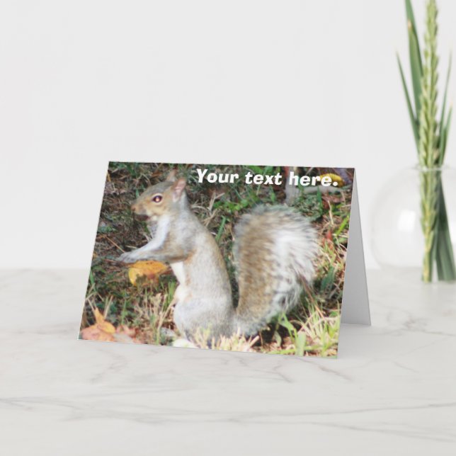 Autumn Squirrel Template (Front)