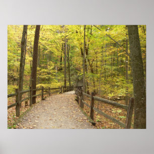 Autumn Stillness Poster