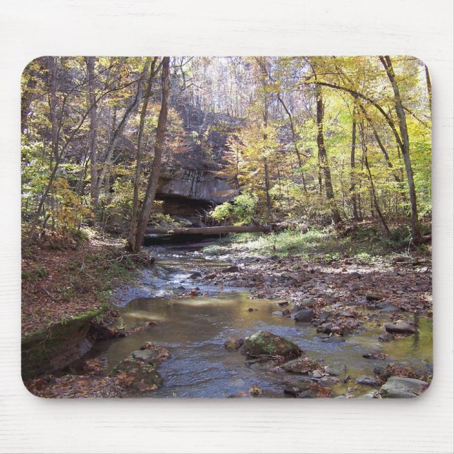 Autumn Stream Mousepad (Front)