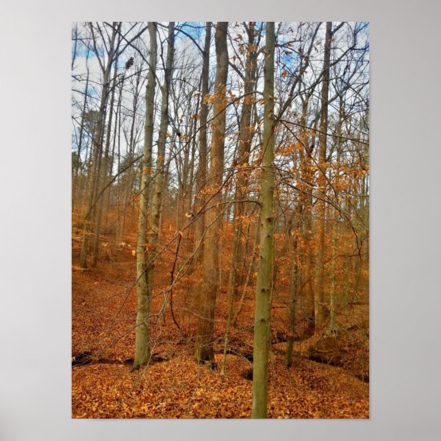 Autumn Stream Poster (Front)