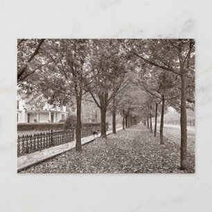 Autumn Street Scene, 1899 Postcard