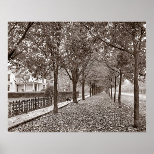 Autumn Street Scene, 1899. Vintage Photo Poster