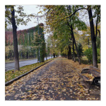 Autumn Stroll in Bucharest