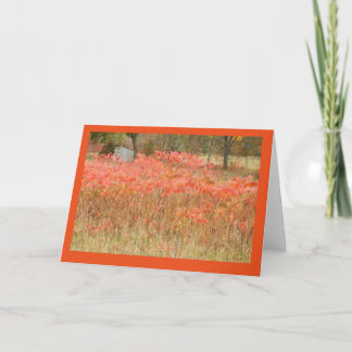 Autumn Sumac and Hunting Shack on Blank Note Card