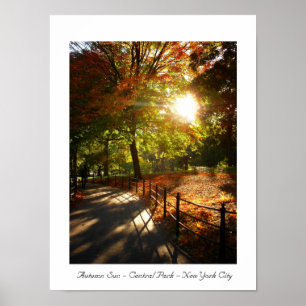 Autumn Sun - Central Park - New York City Poster