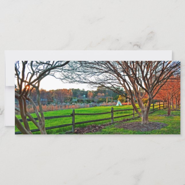 Autumn Sunset by Shirley Taylor (Front)