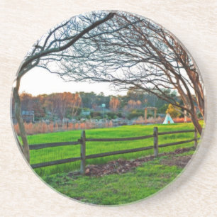 Autumn Sunset by Shirley Taylor Coaster