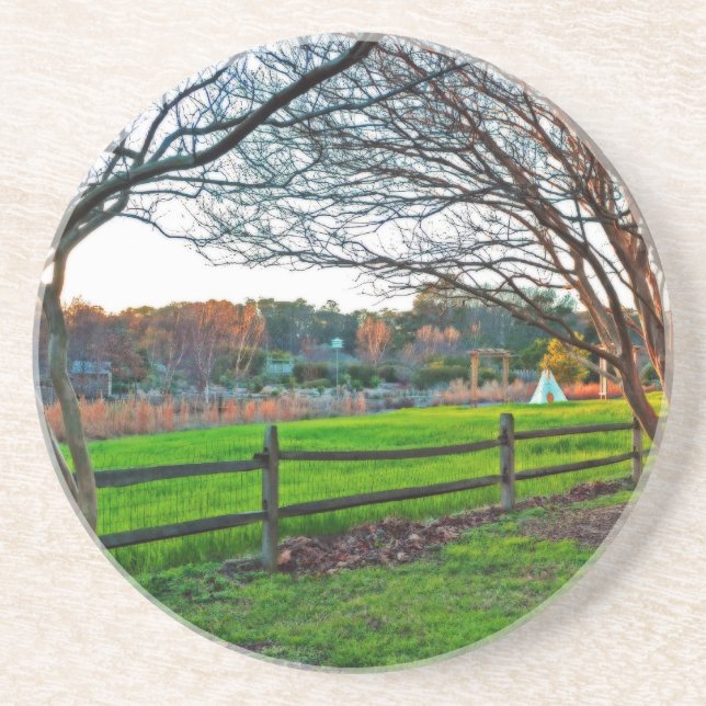 Autumn Sunset by Shirley Taylor Coaster (Front)