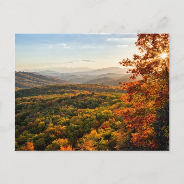 Autumn Sunset | North Carolina Postcard (Front)