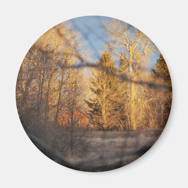 Autumn Sunshine Magnet (Front)