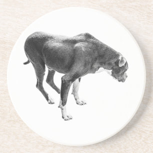 Autumn Table Guardian Coaster