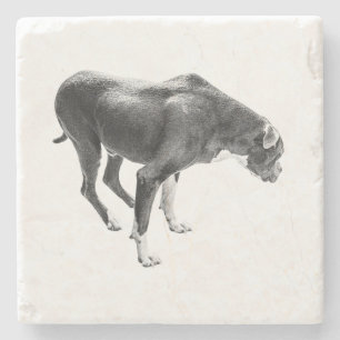 Autumn Table Guardian Stone Coaster