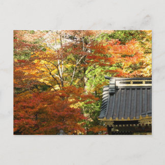 Autumn temple in Nikko, Japan Postcard