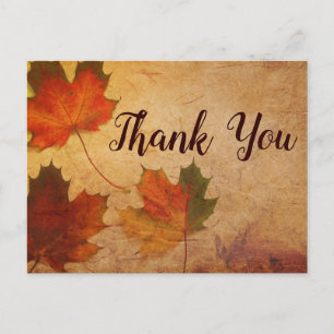 Autumn themed Fall Leaves Postcard