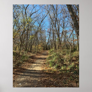 Autumn Trail Poster