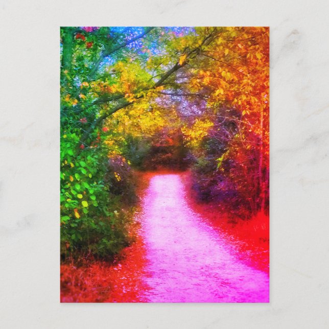 Autumn Trail Rainbow Postcard (Front)