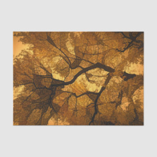 Autumn Tree Amber Orange Brown Leaves Sunset Tissue Paper