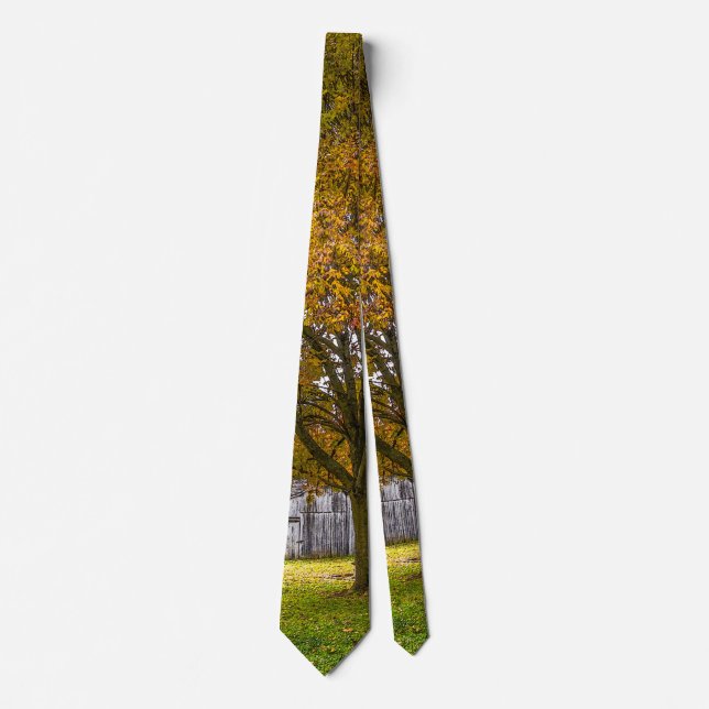 Autumn Tree And Barn Painterly Neck Tie (Front)