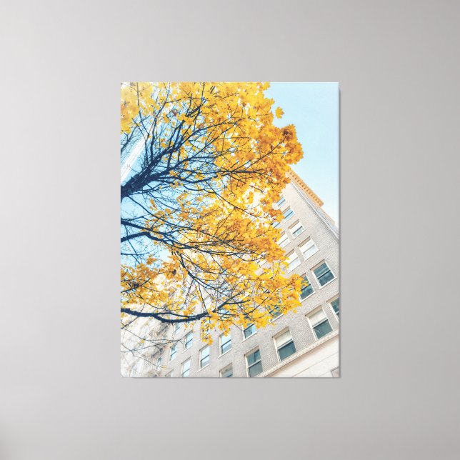 Autumn Tree and Building Facade  Canvas Print (Front)