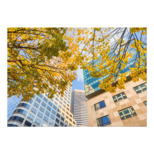 Autumn Tree and Cityscape Photo Print