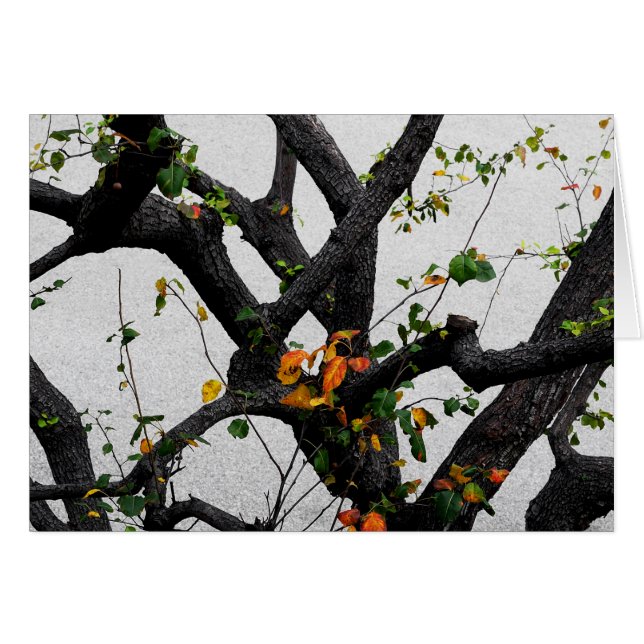 Autumn Tree Branches (Front Horizontal)