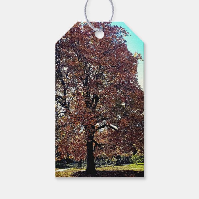 Autumn tree gift tags (Front)