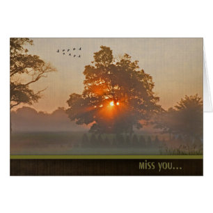 Autumn Tree In Misty Sunlight