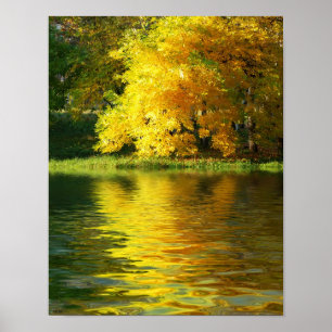 Autumn tree in the forest with reflection poster