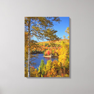 Autumn tree landscape, Maine Canvas Print