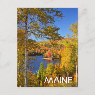 Autumn tree landscape, Maine Postcard