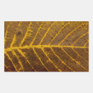autumn tree leaf texture pattern background nature rectangular sticker